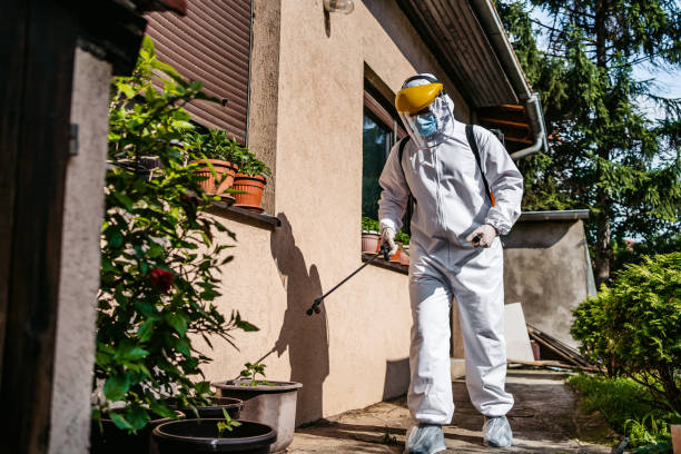 Best Best Pest Control Companies  in Lockport, LA