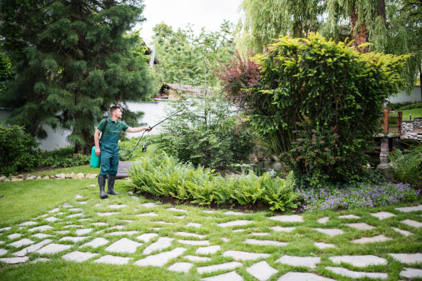 Best Pest Control Near Me  in Lockport, LA