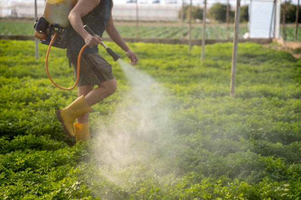 Best Residential Pest Control  in Lockport, LA
