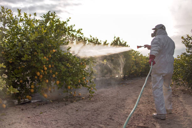 Pest Control for Restaurants in Lockport, LA