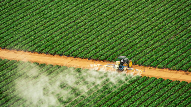 Best Commercial Pest Control Services  in Lockport, LA