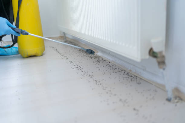 Best Pest Control for Restaurants  in Lockport, LA