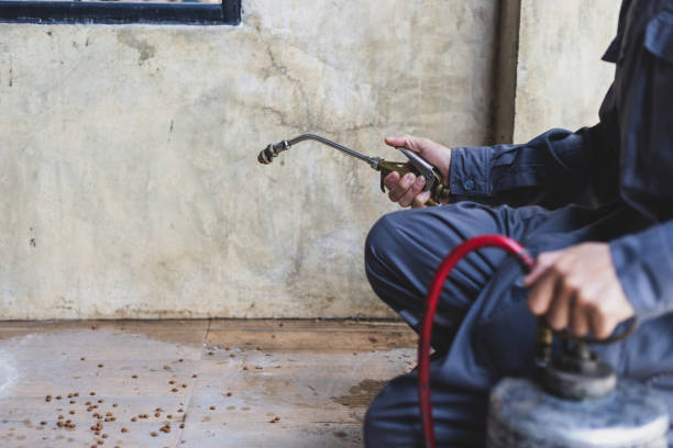 Best Local Pest Control Services  in Lockport, LA